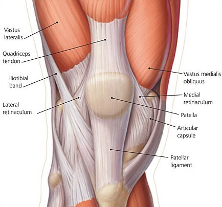 Knee Alignment - How do you move?